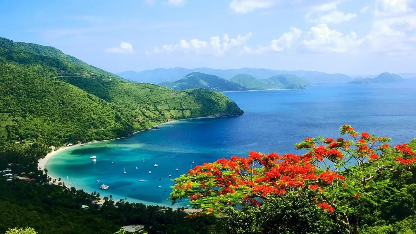 高端全自动